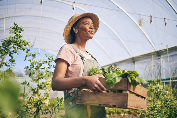 Agricultura